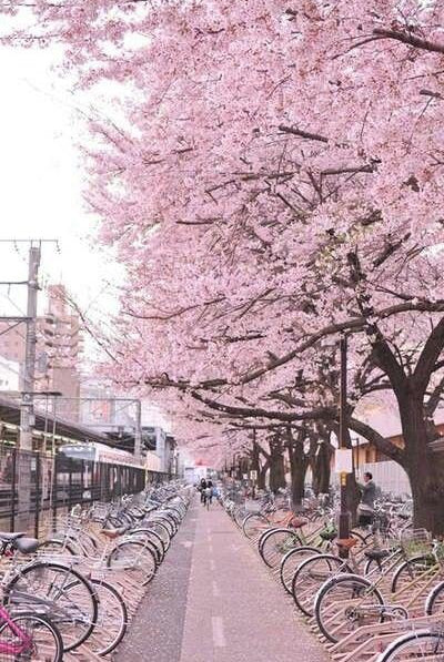 International Women's Day - Get To Know.... the Twosisters Team!