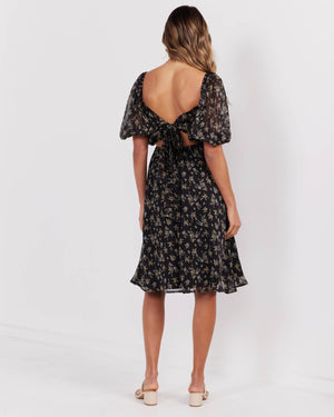 Molly Dress-Black